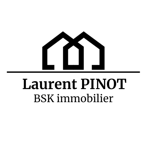 Laurent Pinot | BSK