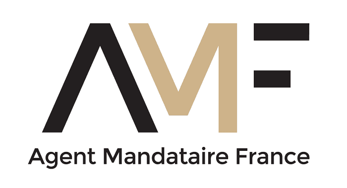 Julien Stil | Agent Mandataire