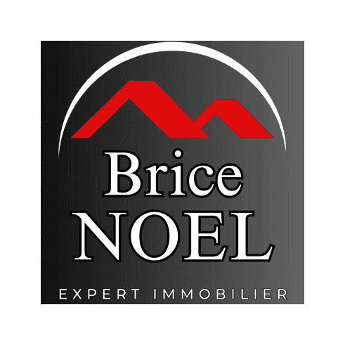 Brice Noel