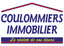 Coulommiers Immobilier