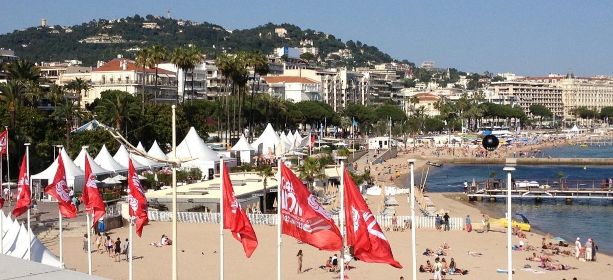 Mickael  Thouvenin - Agent immobilier à Cannes