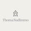 Thoma's SudImmo