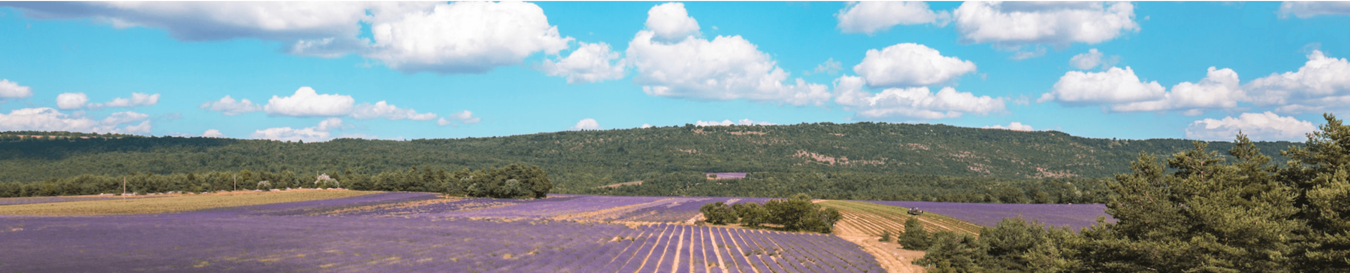 Luberon Provence Immobilier - Agence immobilière à Saint-Saturnin-lès-Apt