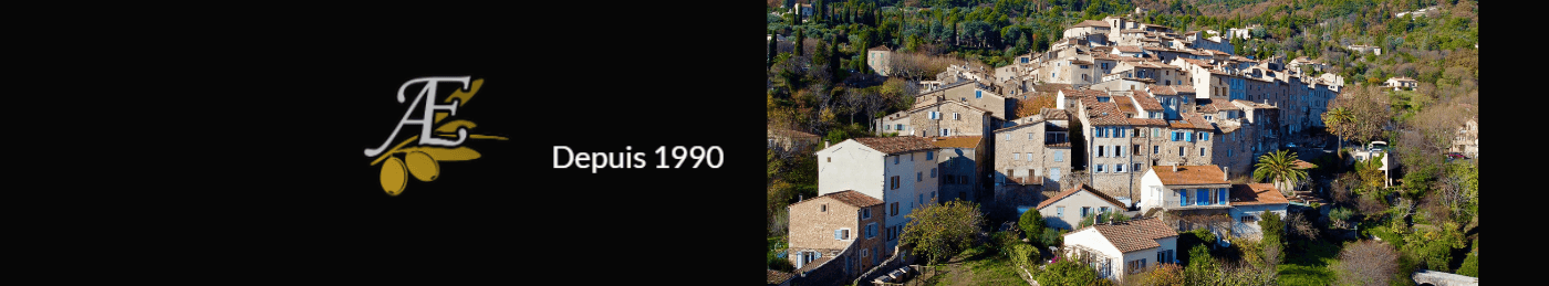 Ludovic  Bertrand - Agent immobilier à Seillans