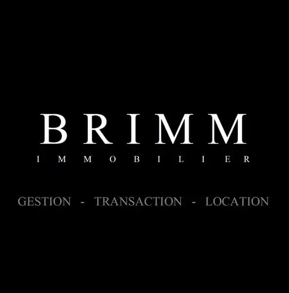 BRIMM Immobilier Lyon 6