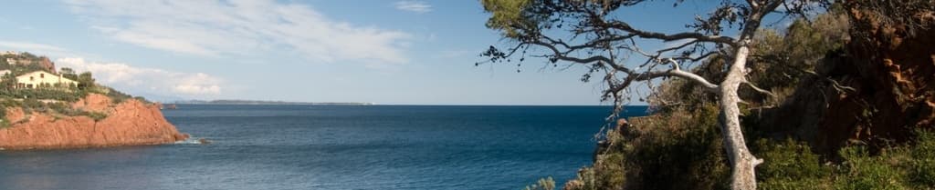 Anthony Catalfamo - Agent immobilier à Mougins