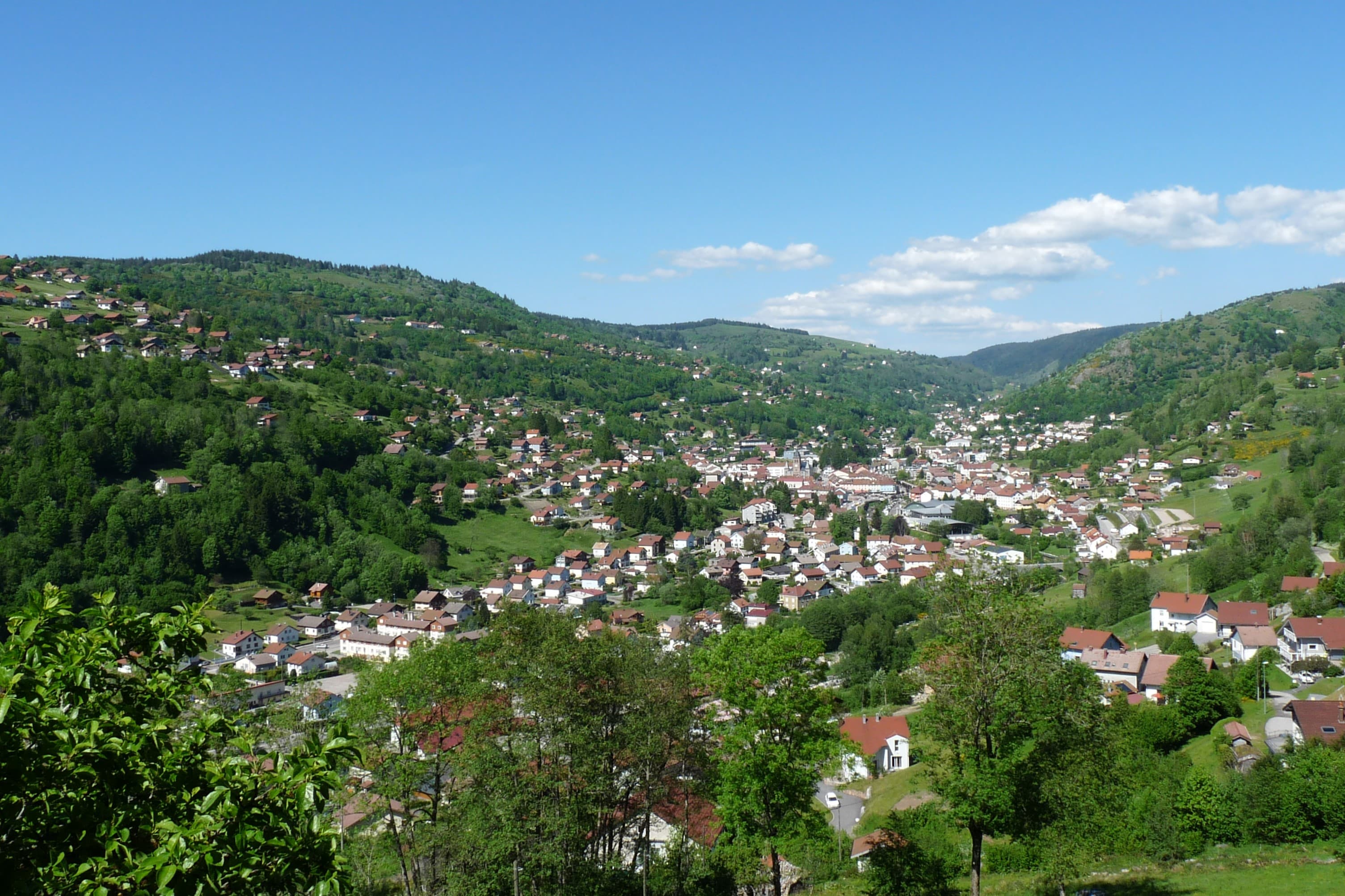 Immo des Vallées La Bresse - Agence immobilière à La Bresse