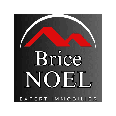 Brice Noel