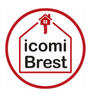Icomi France
