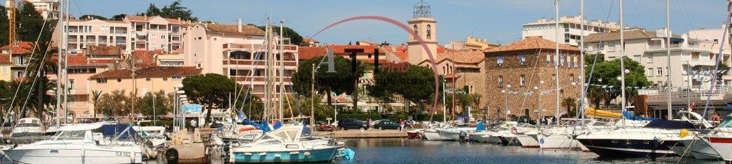 Clément Djemili - Agent immobilier à Sainte-Maxime