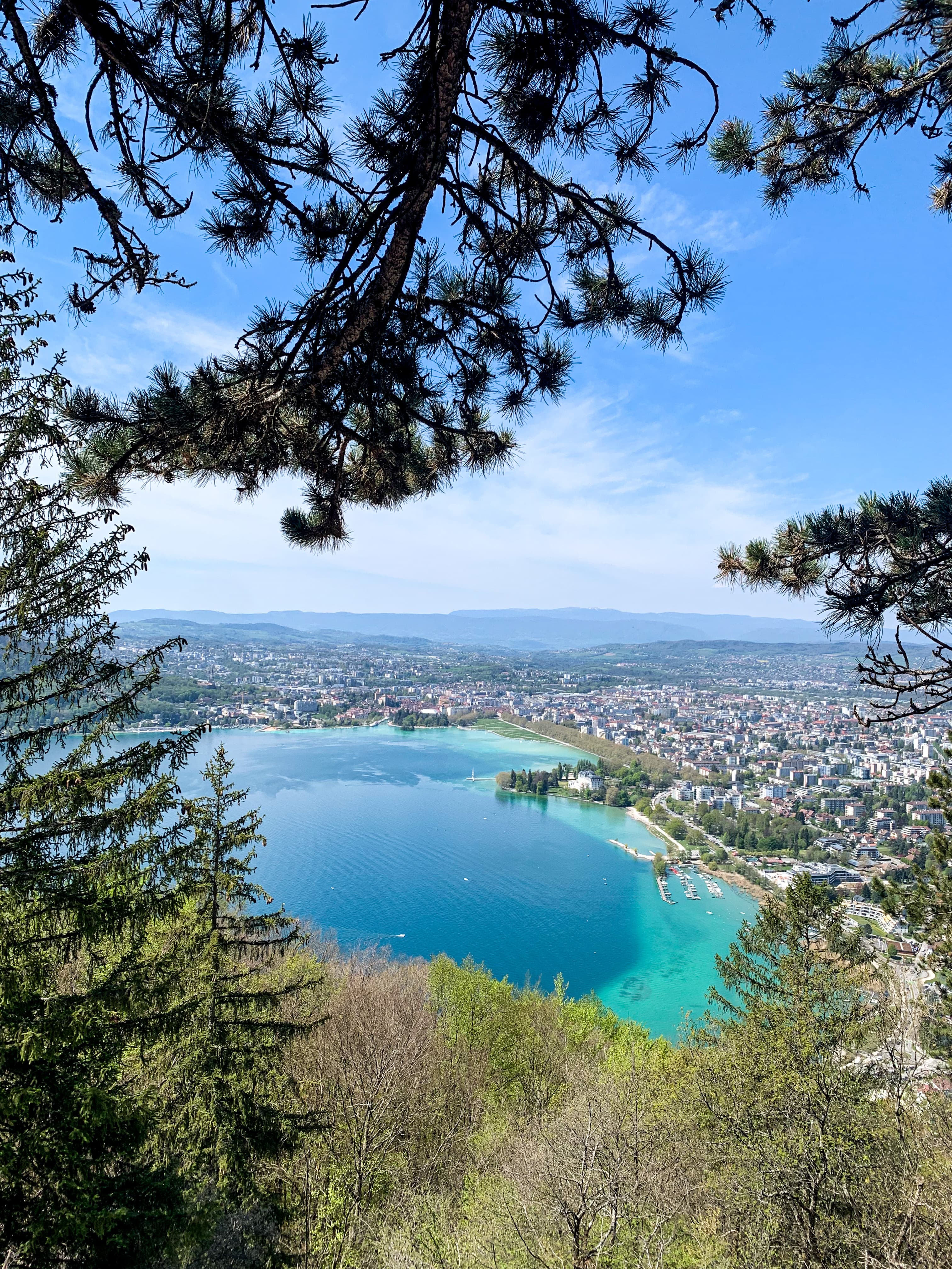 Thomas Buttin - Agent immobilier à Annecy