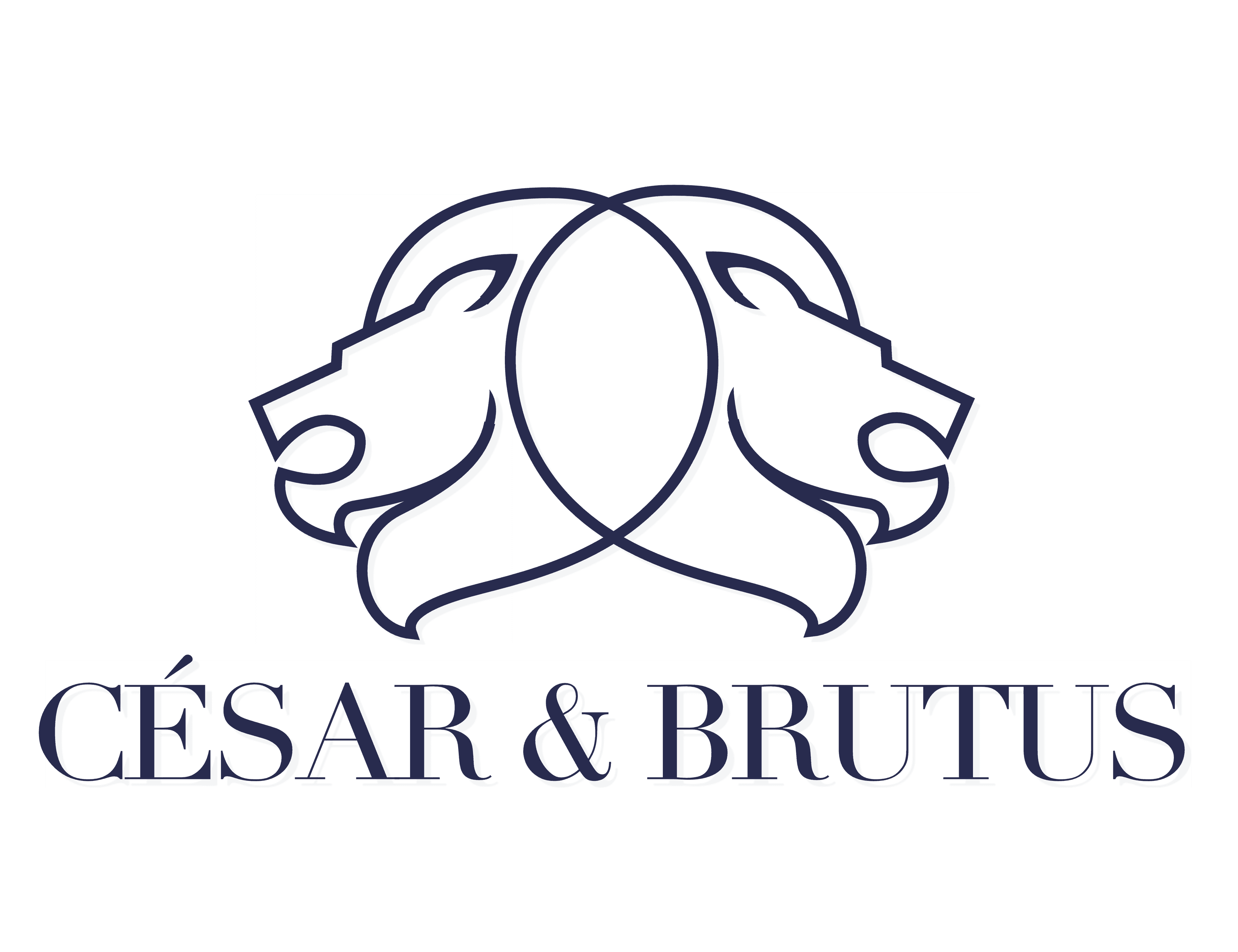 César & Brutus