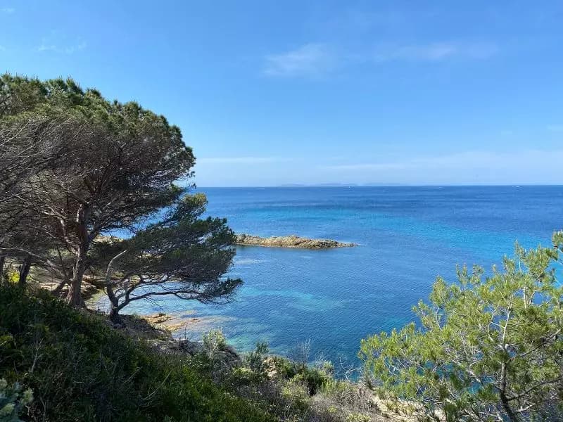 Marie Penna - Agent immobilier à Rayol-Canadel-sur-Mer
