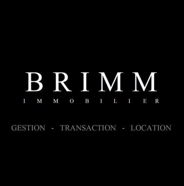 BRIMM Immobilier Lyon 6