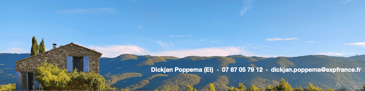 Dickjan Poppema - Agent immobilier à Pierrevert