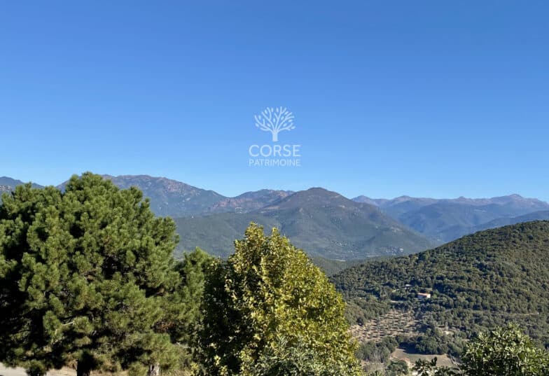 Céline Lamit - Agent immobilier à Porto-Vecchio