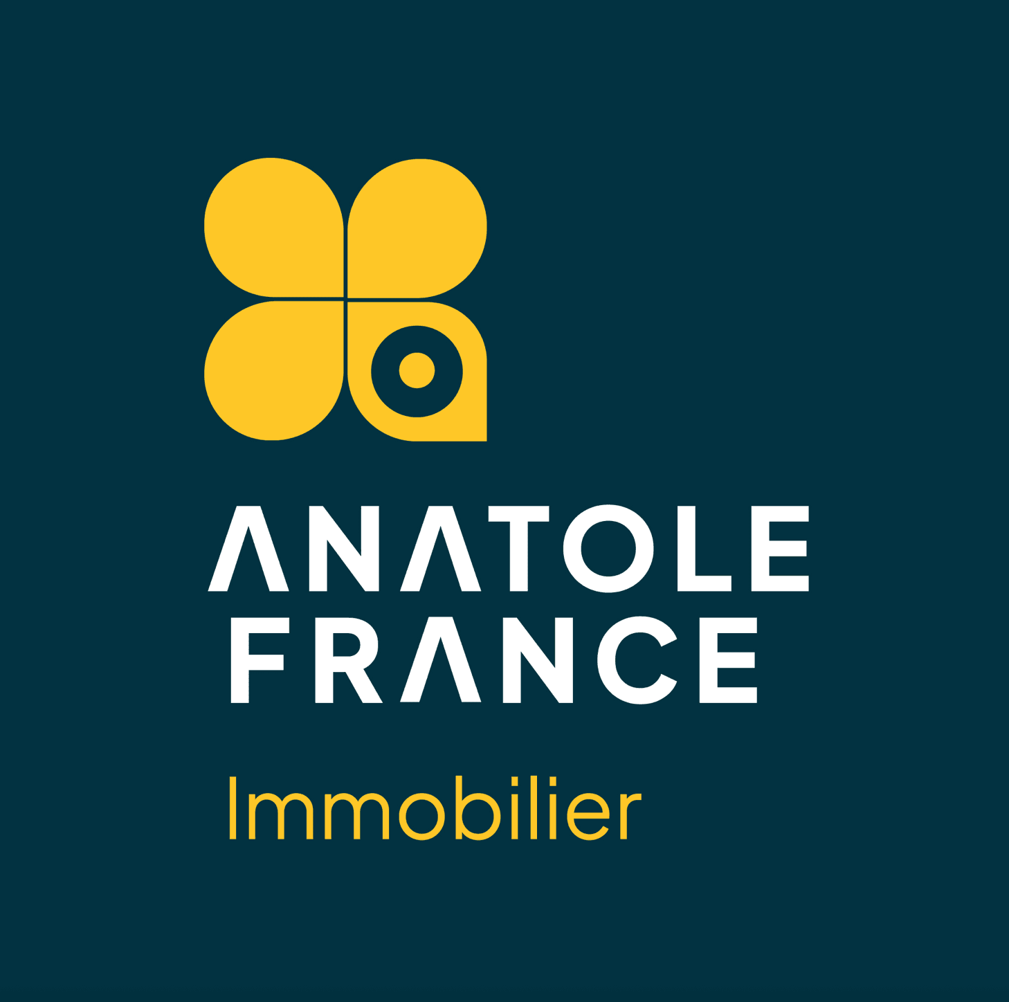 Anatole France Immobilier Nancy