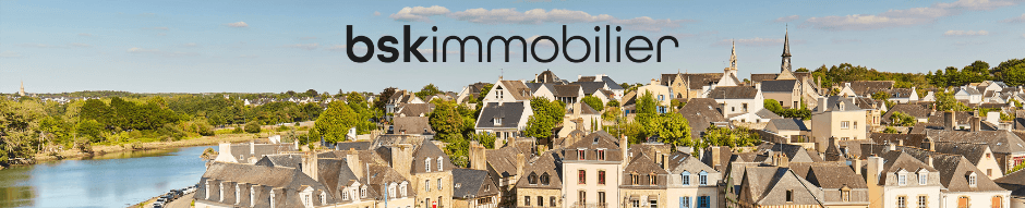 Mickael Baudet - Agent immobilier à Auray