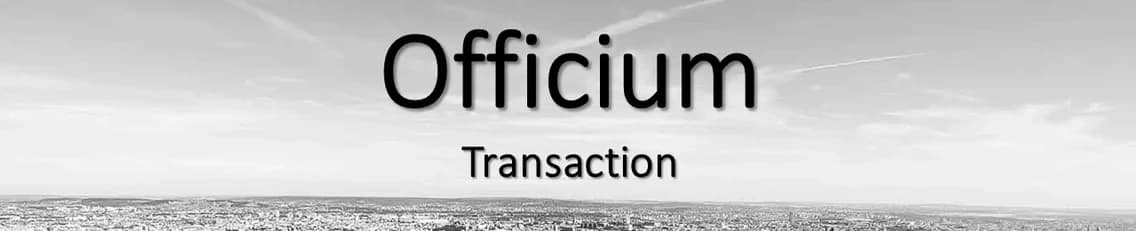Guillaume Decriem - Agent immobilier à Paris
