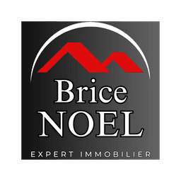 Brice Noel