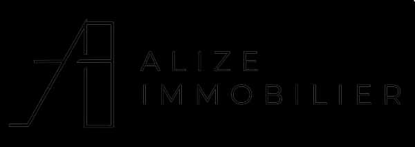 Alizé Investissements