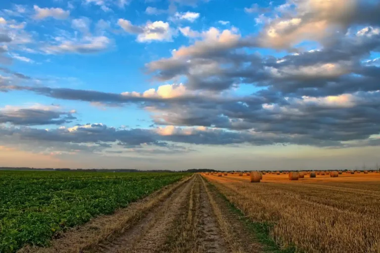 Comment faire l'estimation d'un terrain agricole ?